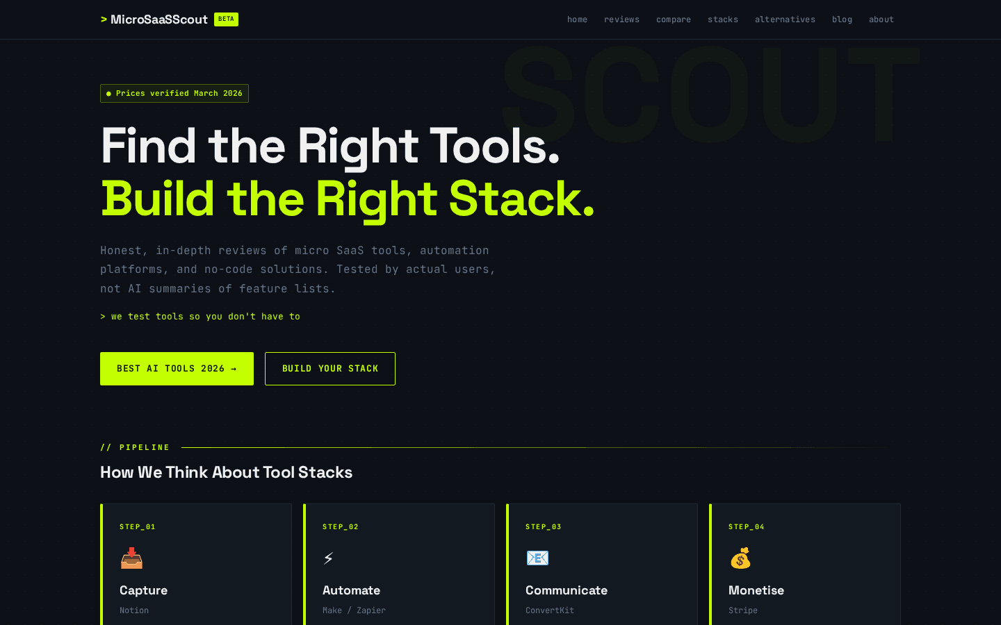 Micro-SaaS Tool Reviews website preview