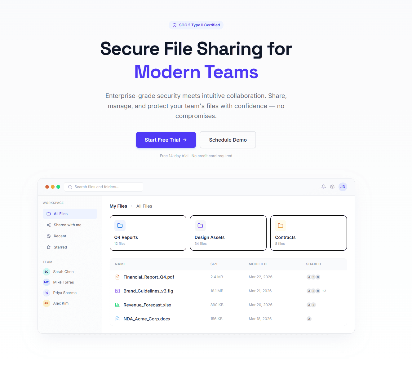 Enterprise File-Sharing Platform website preview